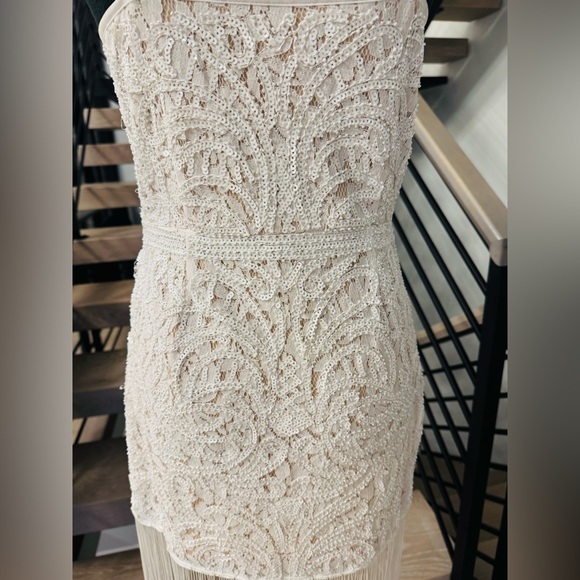 Elegant Cream Lace Dress - Picture 6 of 6